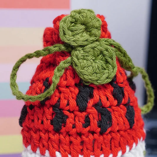 Watermelon Crochet Airpods Case